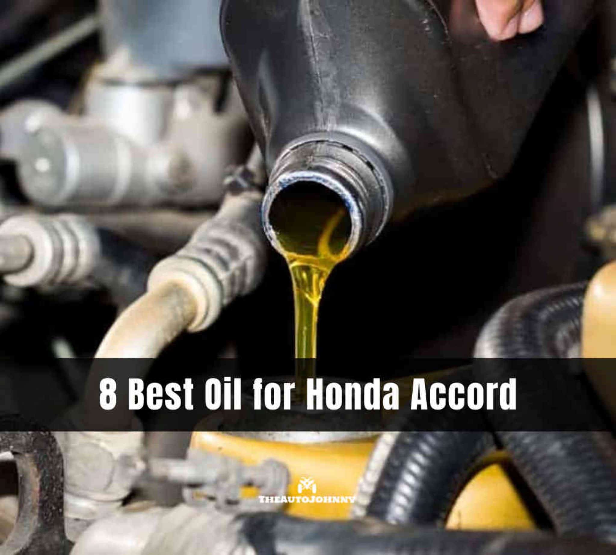 8 Best Oil for Honda Accord [Reviews & Buying Guide]