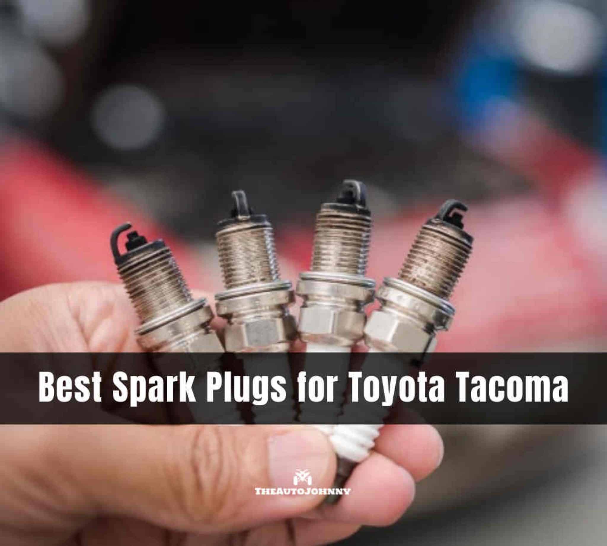 best spark plugs